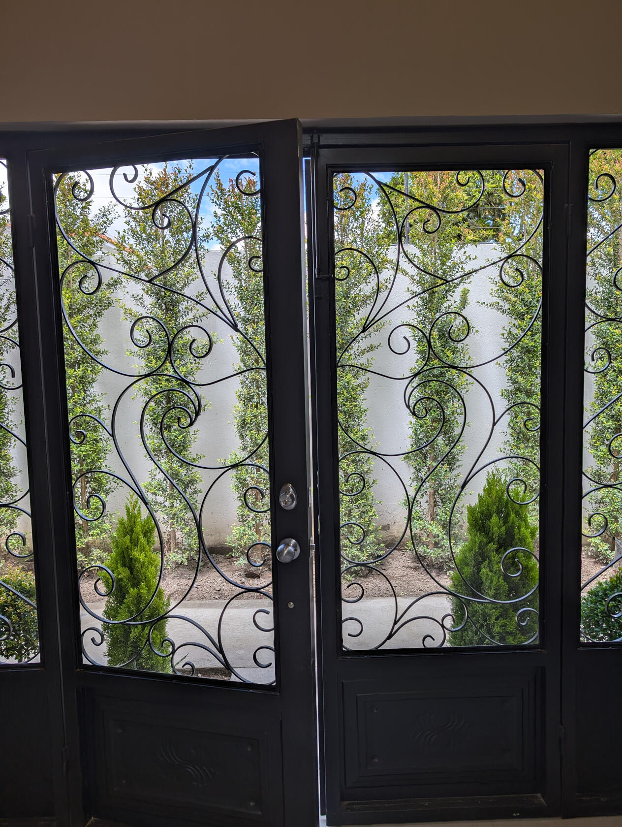 C2SH2 Custom Iron &amp; Glass Doors
